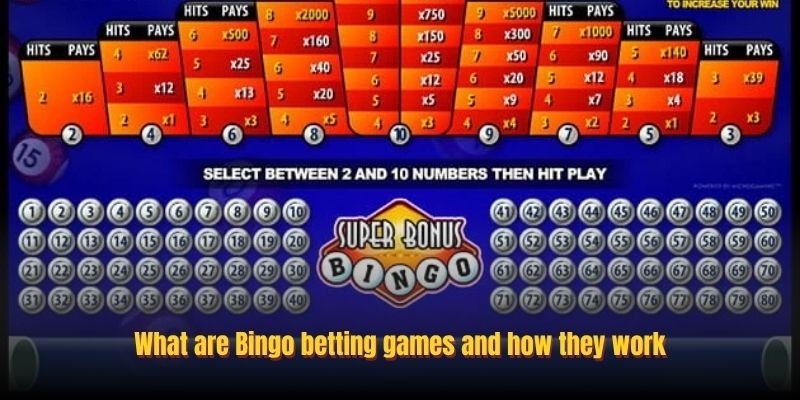 Bingo Betting